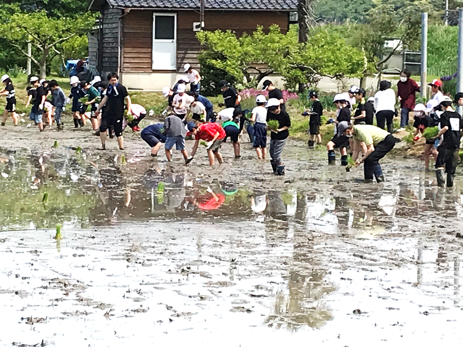5月14日の画像1