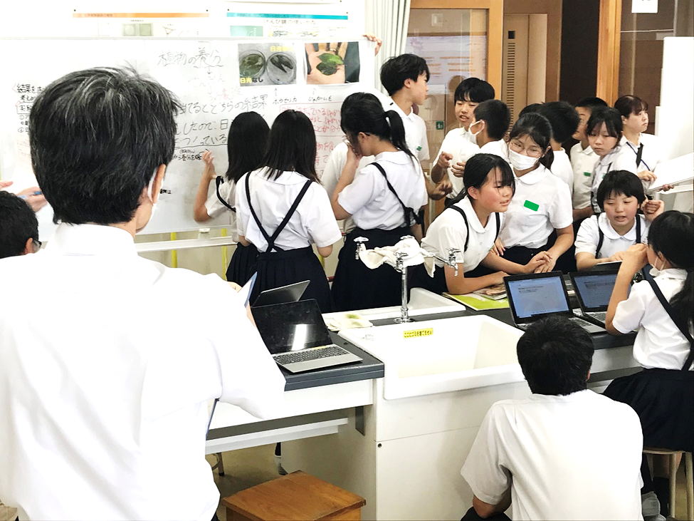 6月24日の画像