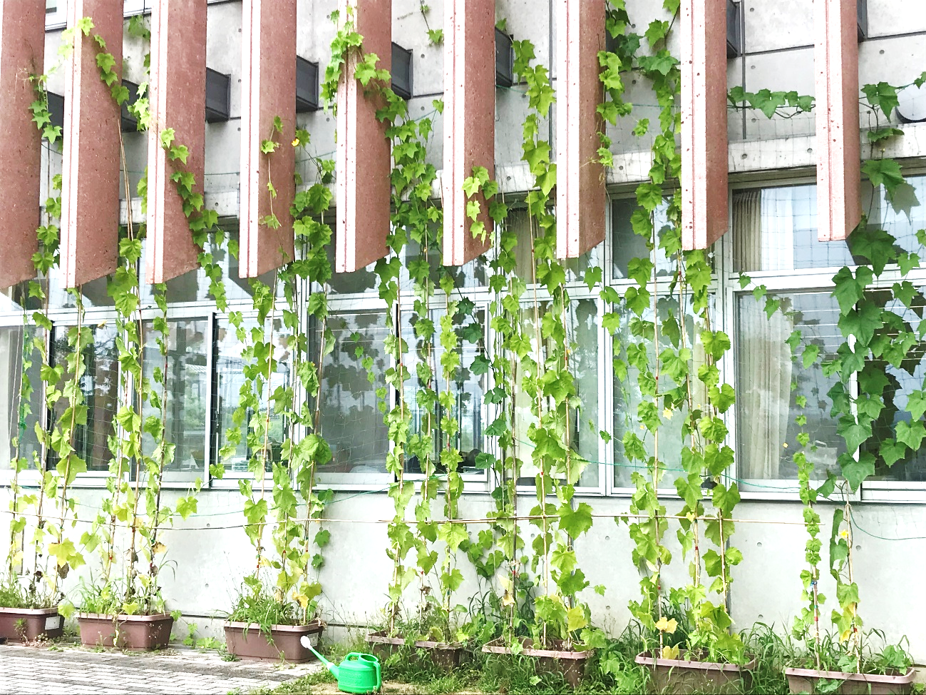 7月10日の画像2