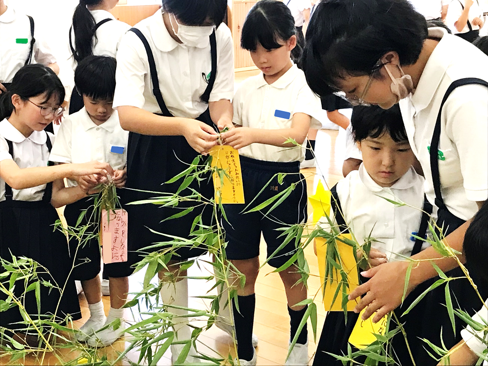 7月7日の画像1