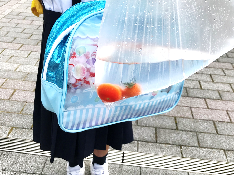 7月3日の画像