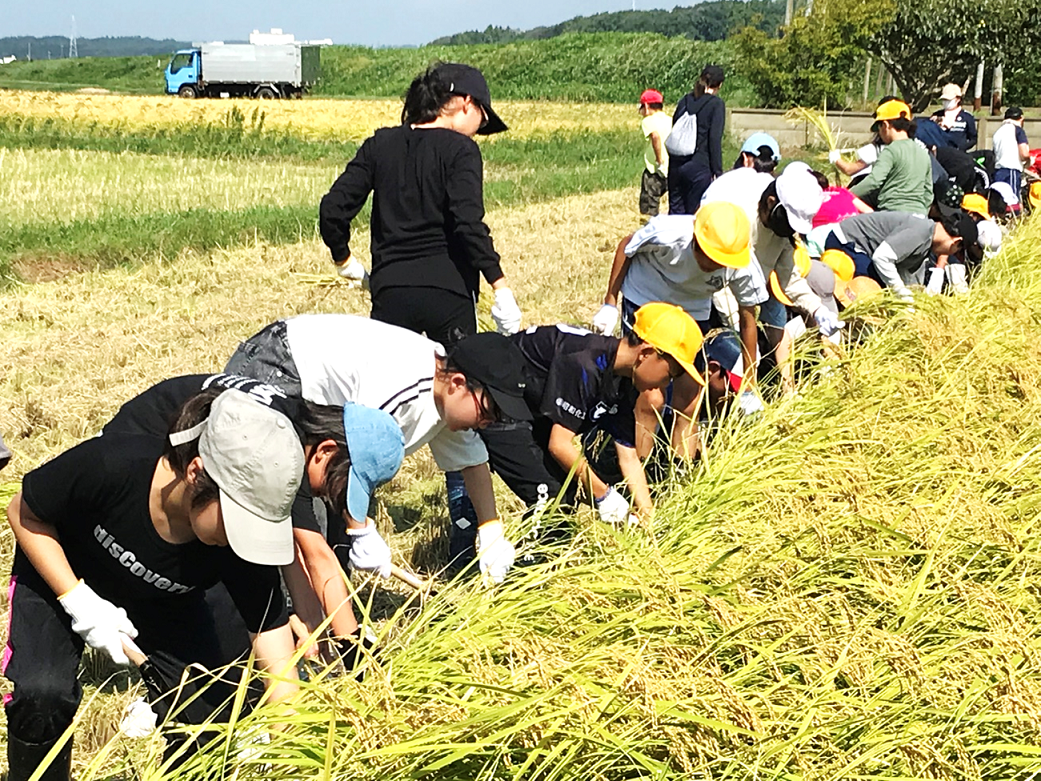9月17日の画像