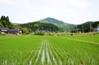 山と田